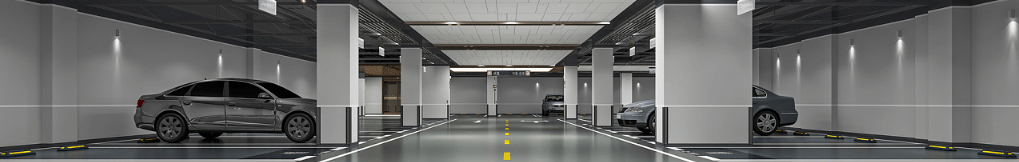 Parking management scene